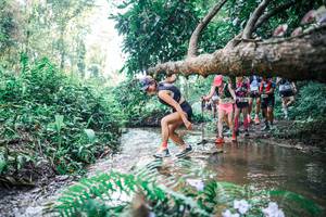 BIB: 
                            <button type="button" onclick="openModal(25453919)" class="btn btn-primary btn-sm float-right btn-popup" data-toggle="modal" data-target=".modal-high-quality">
                        <i class="fas fa-shopping-cart"></i> Add to Cart
                    </button>
                                            <button type="button" onclick="isThisMe(25453919, true)" class="btn btn-success btn-sm float-right btn-popup btn-isme hidden" data-toggle="tooltip" data-placement="bottom" title="นี่คือรูปของคุณใช่ไหม คลิกที่นี่เพื่อเอาเข้าอัลบั้ม">
                        <i class="fas fa-plus"></i> Add to album
                    </button>
                    <button type="button" onclick="isThisMe(25453919, false)" class="btn btn-warning btn-sm float-right btn-popup btn-isnotme hidden">
                        <i class="fas fa-ban"></i> Remove from album
                    </button>